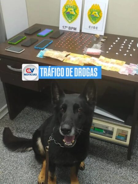 Três suspeitos são presos por tráfico de drogas em Campo Largo